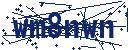 CAPTCHA verification image
