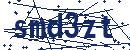 CAPTCHA verification image
